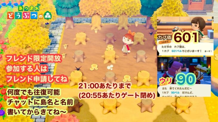 【あつ森】2025,11/29 カブ価601&ウリ90(21:00あたりまで)【フレンド限定開放、参加する人はフレンド申請してね】