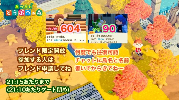【あつ森】2025,11/9 カブ価604&ウリ90(21:15あたりまで)【フレンド限定開放、参加する人はフレンド申請してね】