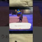 【あつ森25】#41 魚コンプリート‼︎#あつ森 #魚 #イトウ #幻の魚 #仮面ライダーゼッツ