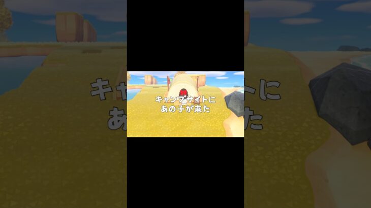 【あつ森】新生活2日目@user-lightnest #あつまれどうぶつの森 #あつ森