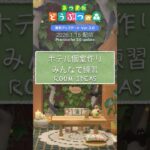 あつ森 3.0💡ホテル部屋クリ・第一弾