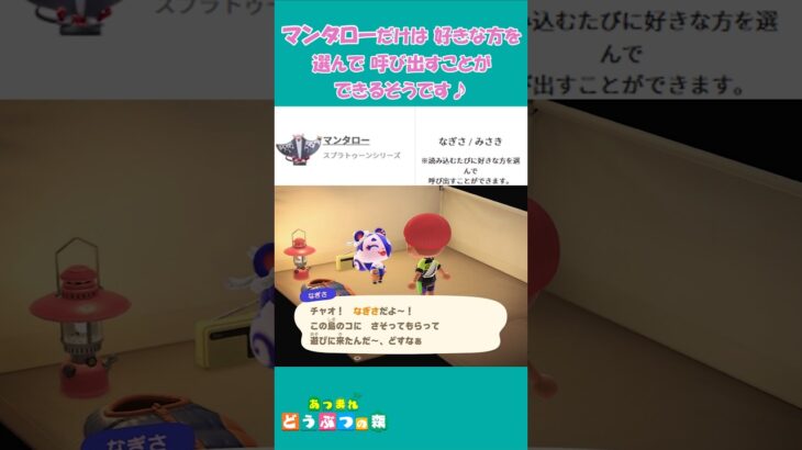 【あつ森 アプデ3.0】速報‼️任天堂さん 優しすぎる‼️ゼルダ & スプラ 対応amiiboを公式が発表してくれました♪ あつ森 #あつまれどうぶつの森 #acnh #shorts #つくよみちゃん