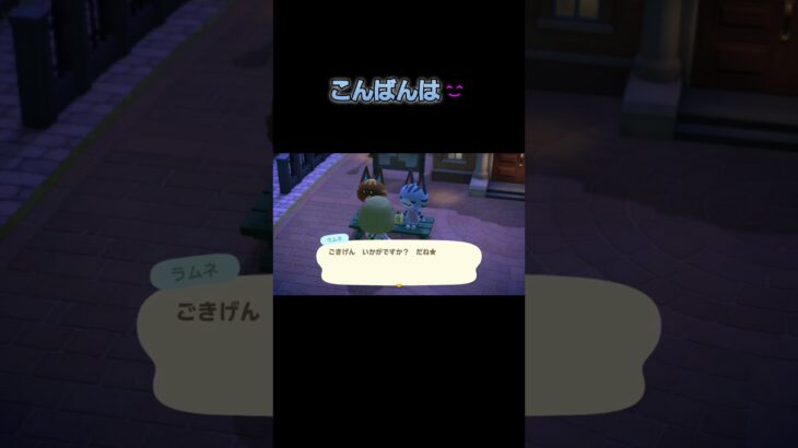 あつ森　#303　まったりしていきませんか？😺😺✨️