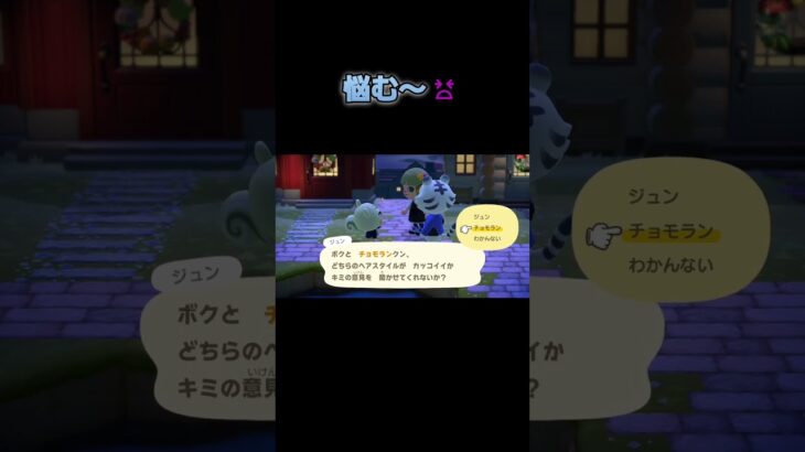 あつ森　#304　まったりしていきませんか？🐯🐿️🎵