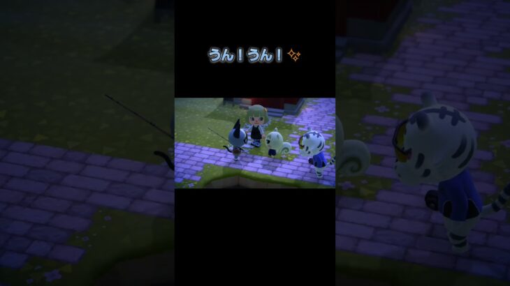 あつ森　#306　まったりしていきませんか？😺😼✨️✨️