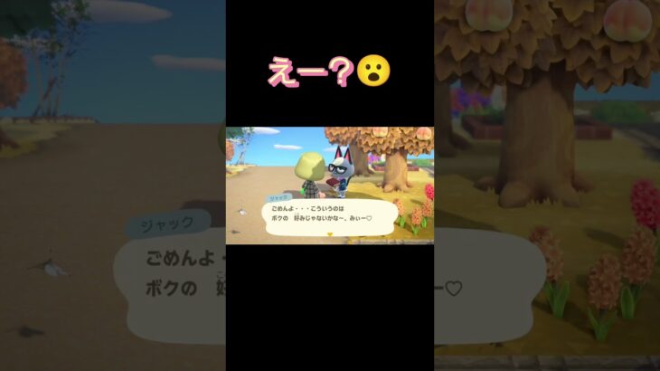 あつ森　#309　まったりしていきませんか？🐱✨️