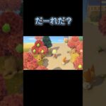 あつ森　#312　まったりしていきませんか？😺🎵