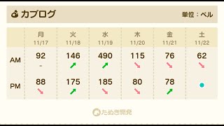 【あつ森】3時までカブ490！高評価、チャンネル登録で売り放題！