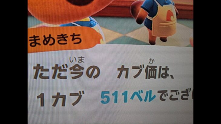 ＜あつ森＞カブ354＿チャンネル登録、高評価で売り放題！往復可能！