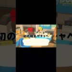 【あつ森】新生活3日目@user-lightnest #あつ森 #あつまれどうぶつの森