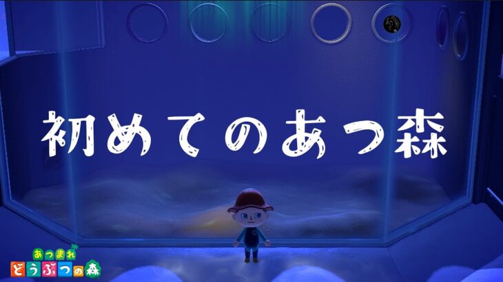 【初見】はじめての無人島生活＃4【ライブ配信】