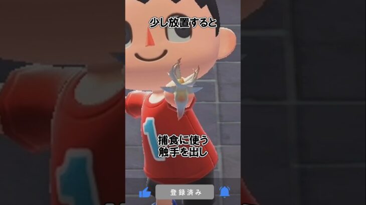 生き物の小ネタ4選@ほのげ【あつ森】