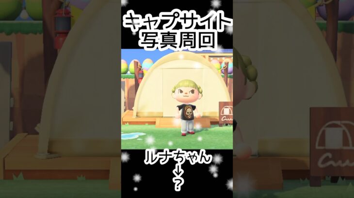 【あつ森】407人写真コンプできる？できない？#あつまれどうぶつの森  #animalcrossing  #キャプサイト