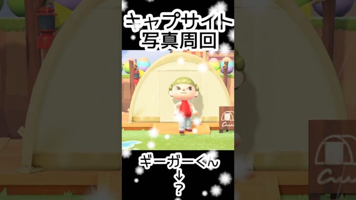 【あつ森】407人写真コンプできる？できない？#あつまれどうぶつの森  #animalcrossing  #キャプサイト
