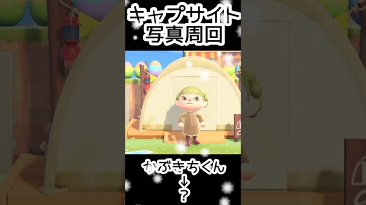 【あつ森】407人写真コンプできる？できない？#あつまれどうぶつの森  #animalcrossing  #キャプサイト