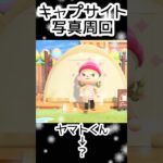 【あつ森】407人写真コンプできる？できない？#あつまれどうぶつの森  #animalcrossing  #キャプサイト