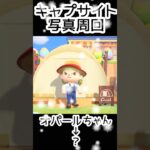 【あつ森】407人写真コンプできる？できない？#あつまれどうぶつの森  #animalcrossing  #キャプサイト