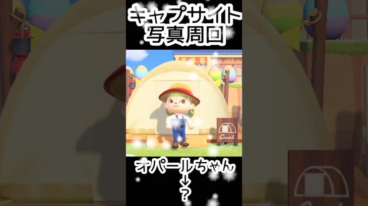 【あつ森】407人写真コンプできる？できない？#あつまれどうぶつの森  #animalcrossing  #キャプサイト