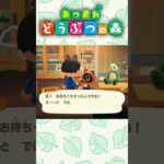【あつ森】たぬきち商店で虫を40匹売るといくらになる？#shorts
