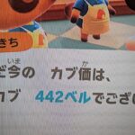 【あつ森】カブ442！高評価、チャンネル登録で無料売り放題！