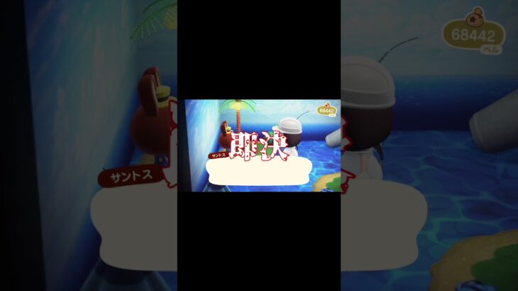 【あつ森】新生活4日目@user-lightnest #あつ森 #あつまれどうぶつの森