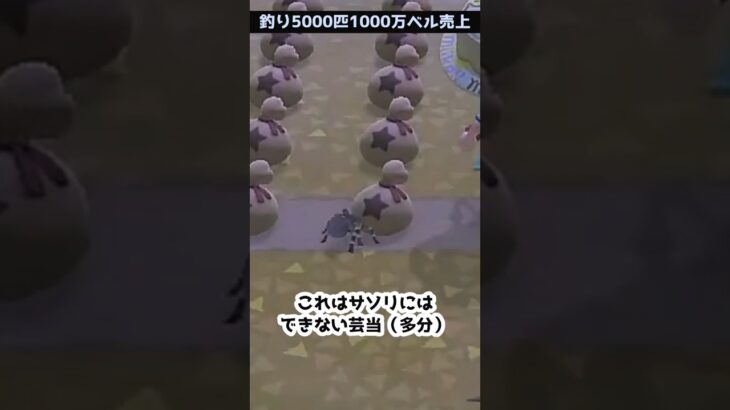 【あつ森】≪🎣5000匹≫　サソリから主役を奪還                                         　　　　　　　　　 #あつ森　#タランチュラ　#ゆっくり実況　#虫捕り