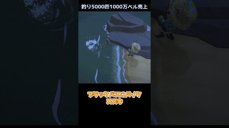 【あつ森】≪🎣5000匹≫　チョウザメが釣れない場所　　　　　　　　　　　　　　　　　　　　#離島ガチャ　#河口　#釣り　#デメニギス　 #あつ森