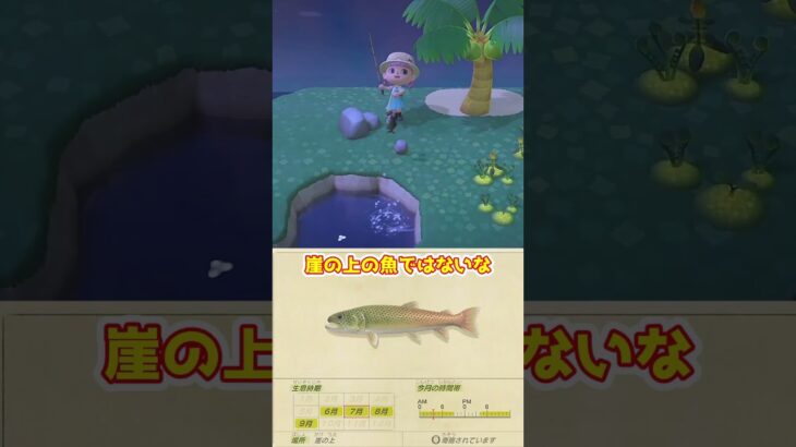 【あつ森】≪🎣5000匹≫　イトウを釣りたい①  　　　　　　　　　　　　　　　　　　　　　　 #あつ森　#釣り　#イトウ　#ゆっくり実況