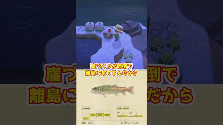 【あつ森】≪🎣5000匹≫イトウを釣りたい②　立派な崖と大魚影　　　　　　　　 #あつ森　#釣り　#イトウ　#ブラックバス　#ゆっくり実況