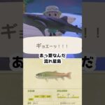 【あつ森】≪🎣5000匹≫　イトウを釣りたい③　流れ星島　　　　　　　　　　　　　　　　　　　　　　　　　　 #あつ森　#流れ星島　#釣り　#イトウ　#ほしのかけら　#ゆっくり実況