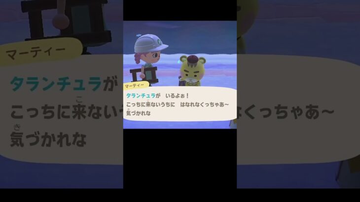 【あつ森】≪もうすぐ5000匹🎣≫　ブフゥフガフガの正体は？　　　　　　　　　　　　　　　　　　　　　#釣り　#タランチュラ　#ゆっくり実況　#マーティー　 #あつ森