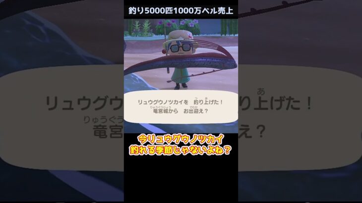 【あつ森】≪釣り5000匹企画≫　この島は１０月のはずなのに　　　　　　　　　　　　　　　　　　　　　　　　　　　　　　　　　　 #あつまれどうぶつの森　#リュウグウノツカイ