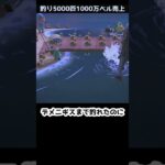 【あつ森】≪釣り5000匹企画≫　ロウニンアジは武士　　　　　　　　　　　　　　　　　　　　　 #あつまれどうぶつの森