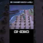 【あつ森】≪🎣5000匹≫背びれ魚影が去っちゃった　　　　　　　　　　　　　　　　　　　　　　　 #ゆっくり実況　#あつ森　　#釣り