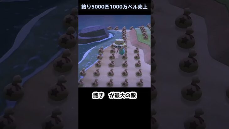 【あつ森】≪🎣5000匹≫背びれ魚影が去っちゃった　　　　　　　　　　　　　　　　　　　　　　　 #ゆっくり実況　#あつ森　　#釣り