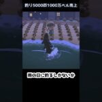 【あつ森】≪🎣5000匹≫　小っちゃくて大きいやつ　　　　　　　　　　　　　　　　　　　 #ゆっくり実況　#釣り