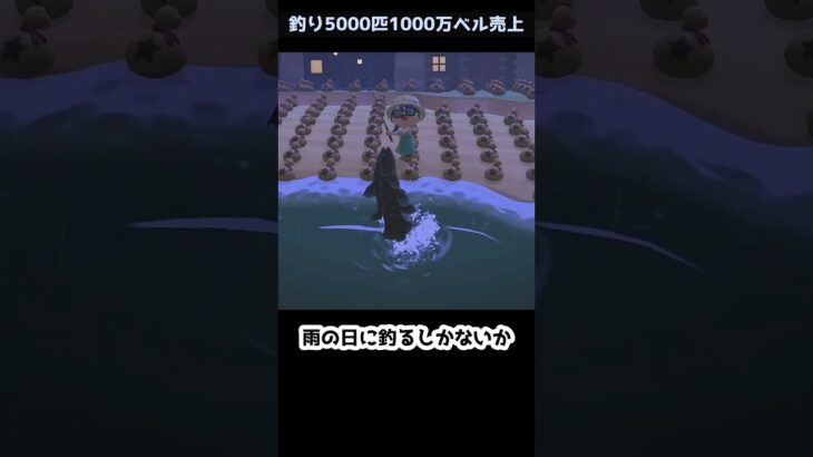 【あつ森】≪🎣5000匹≫　小っちゃくて大きいやつ　　　　　　　　　　　　　　　　　　　 #ゆっくり実況　#釣り