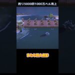 【あつ森】≪🎣5000匹≫　レア魚？　　　　　　　　　　　　　　　　　　　　　　　　　 #ゆっくり実況