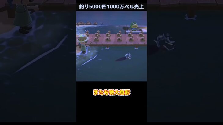 【あつ森】≪🎣5000匹≫　レア魚？　　　　　　　　　　　　　　　　　　　　　　　　　 #ゆっくり実況