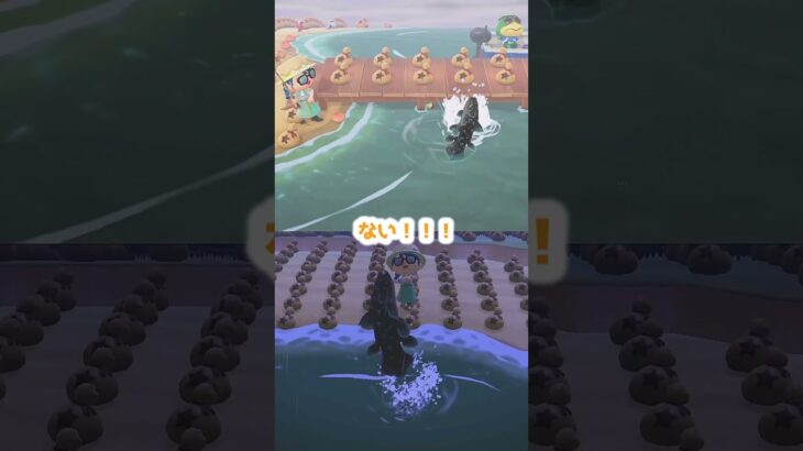 【あつ森】≪🎣5000匹≫　6月なら昼間に釣ったら良かったかな？　　　　　　　　　　　　　　　　　　　　　　　　　　　　　 #あつ森　#チョウザメ　#リュウグウノツカイ　#デメニギス　#カジキマグロ