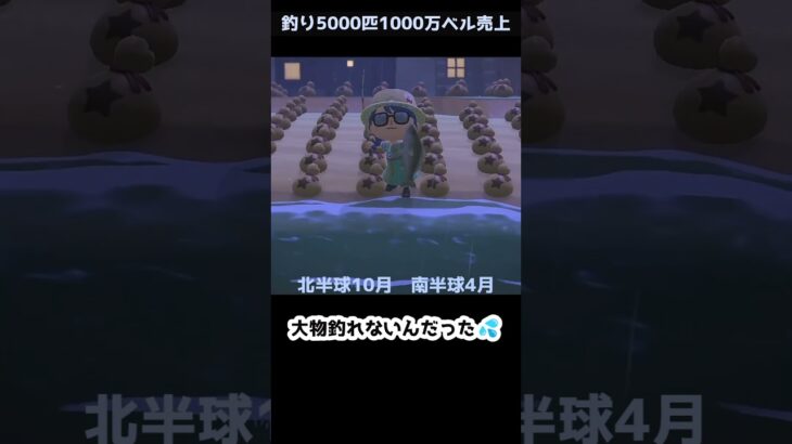 【あつ森】≪🎣5000匹≫　YouTube一時停止　　　　　　　　　　　　　　　　　 #ゆっくり実況