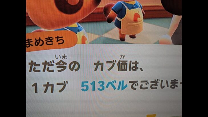 【あつ森】カブ513！チャンネル登録、高評価で売り放題！