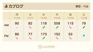 【あつ森】カブ558！3時から152に下がります！高評価、チャンネル登録で売り放題！