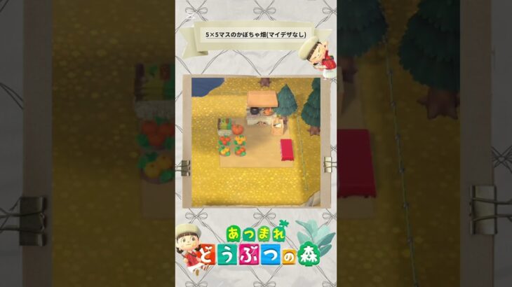 5×5マスシリーズ「かぼちゃ畑🎃(マイデザなし)」#acnh #あつ森 #あつまれどうぶつの森 #あつ森レイアウト #animalcrossing