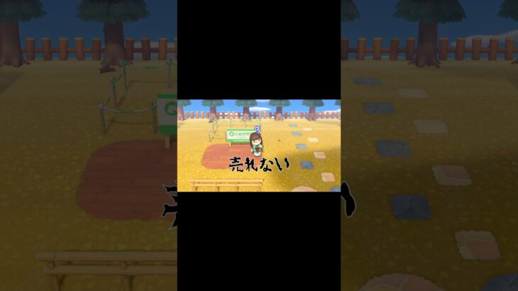 【あつ森】新生活5日目@user-lightnest #あつ森#あつまれどうぶつの森