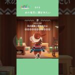 【ハピパラ】6×6 木に囲まれた暮らし【あつ森】