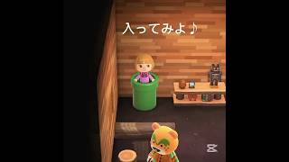 住人家のどかんに入ってみた（バッカスの家）／あつ森／66歳母