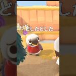 【あつ森】新生活6日目@user-lightnest #あつ森 #あつまれどうぶつの森