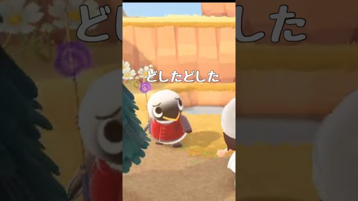 【あつ森】新生活6日目@user-lightnest #あつ森 #あつまれどうぶつの森