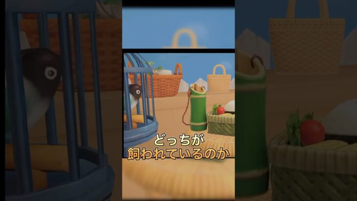 【あつ森】8×8バスケット🧺だらけの家🏠＃ハピパラ＃あつ森＃ハピパラ＃あんこ